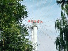 -北京石景山游乐园