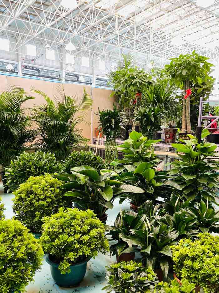 蟹岛国际花卉-"蟹岛里新开业的花卉市场,里面很宽敞,环境.