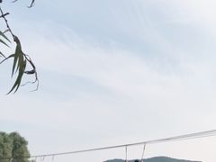 -东湖落雁景区