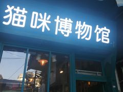 -猫咪博物馆(顶澳仔猫街店)