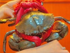 -喜记避风塘炒辣蟹(总店)