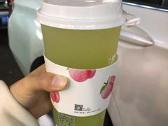树夏绿葡萄-树夏(建设路店)