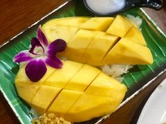 芒果糯米饭-Jungle Kitchen