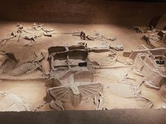 -洛阳周王城天子驾六博物馆