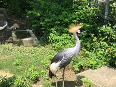 -上方山森林动物世界