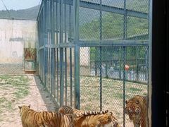 -无锡动物园·太湖欢乐园