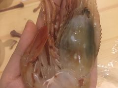牡丹虾-菊上日式料理(蚌埠银泰店)