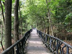 -龙湾潭国家森林公园