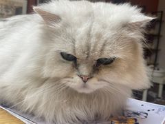 -朝画惜时·陶艺·拼豆·团建