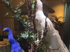 -泰谷玲抓龙筋SPA·泰式按摩(五一广场店)