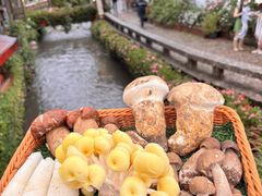 -桥边小楼·手工云南菜·丽江地标美食