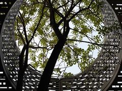 -中骏世界城(泉州店)