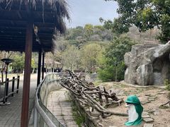 -宁波野生动物园