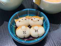 -逗柴咖啡屋·狗咖猫咖宠物桌游