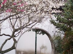 -苏州上方山国家森林公园
