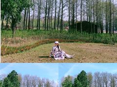 -上海长兴岛郊野公园