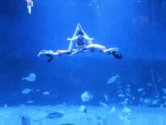 -烟台海昌鲸鲨海洋公园