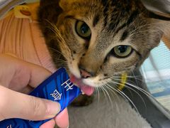 -达爱动物医院·犬猫分区·CT·复杂眼科(远洋山水分院)