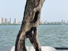 -无锡蠡湖国家湿地公园-蠡园