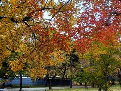 -国家植物园南园