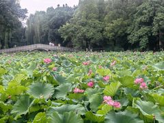 -西南交通大学(九里校区)