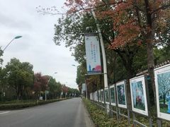 -自然谷恐龙园