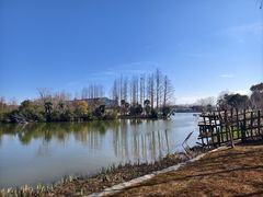 -上海长兴岛郊野公园