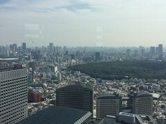 -东京都厅舍