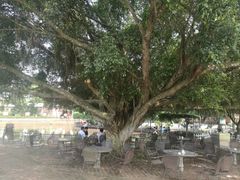 -侯臣咖啡文化村