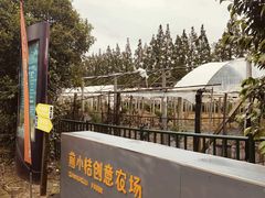 -前小桔亲子创意农场·草莓采摘·露营烧烤