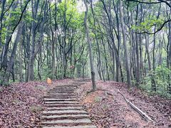 -西湖风景区十里琅珰-五云山