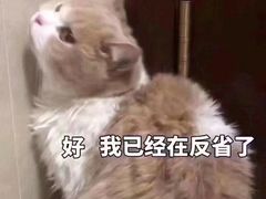 -语朵教育·日韩德法留学(曹杨校区)