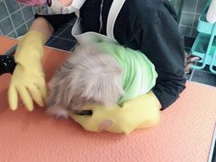 -Double Rui宠物酒店