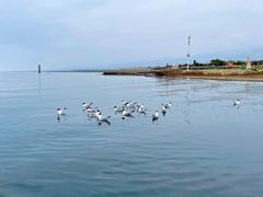 -青海湖国家重点风景名胜区
