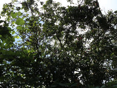 -北京师范大学(珠海校区)