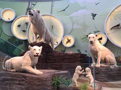 -陕西自然博物馆