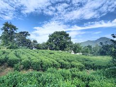 -黄公望隐居地