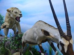 -西霞口神雕山野生动物世界