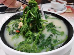-羽鸽集·乳鸽专门店·地道顺德菜(岭南站店)