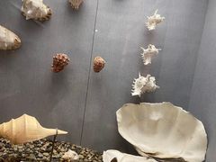 -烟台自然博物馆