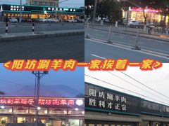 -阳坊胜利涮羊肉(阳坊老店)