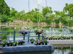 -无锡蠡湖国家湿地公园-蠡园