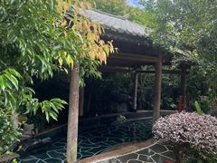 -腾冲洞山温泉村