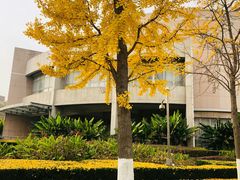 -万达广场(泰安泰山店)