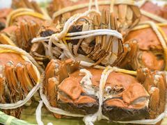 -蟹天蟹地农家菜·阳澄湖大闸蟹(浅水湾店)