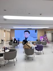 -上海伊莱美医疗美容医院