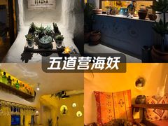 -Sirena海妖日咖夜酒