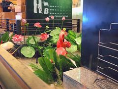 -河坝강뚝烧烤专门店(旗舰店)