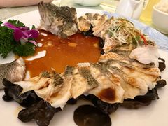 -博雅渔港·融合菜(维也纳国际大酒店)