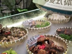 -芸山季·云南山珍菌火锅(人民广场来福士店)